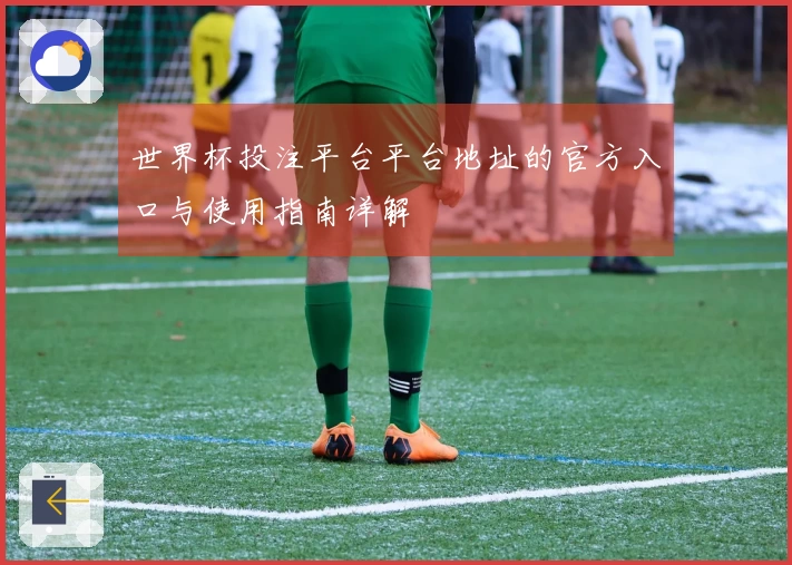 世界杯投注平台平台地址的官方入口与使用指南详解