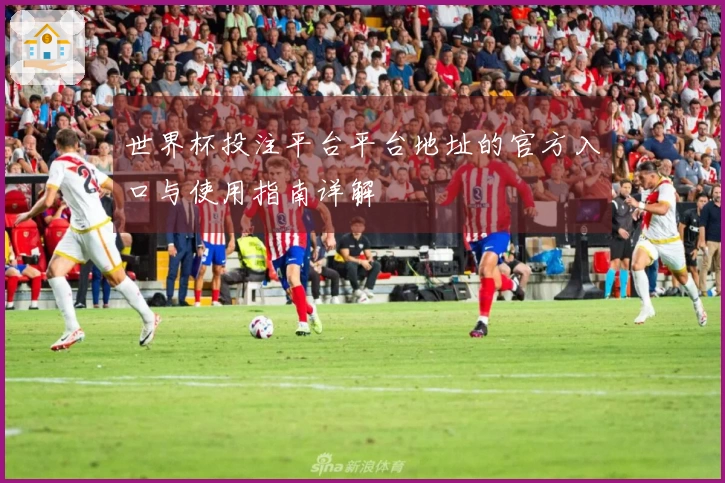 世界杯投注平台平台地址的官方入口与使用指南详解