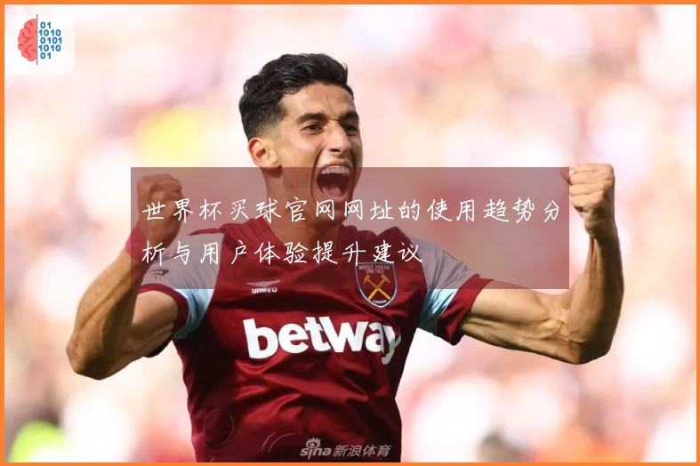 世界杯买球官网网址的使用趋势分析与用户体验提升建议