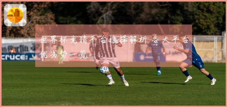 世界杯竞猜平台选择解析 各大平台优劣势一览