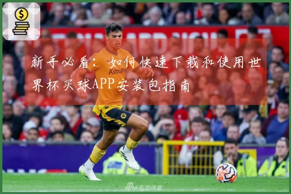 新手必看：如何快速下载和使用世界杯买球APP安装包指南