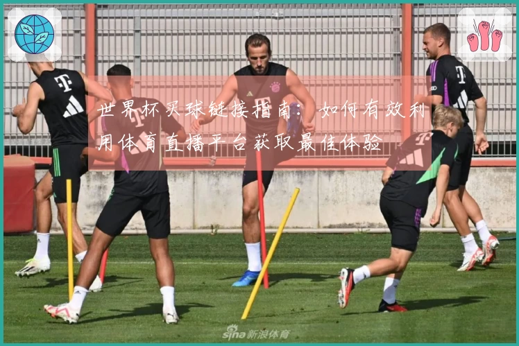 世界杯买球链接指南：如何有效利用体育直播平台获取最佳体验
