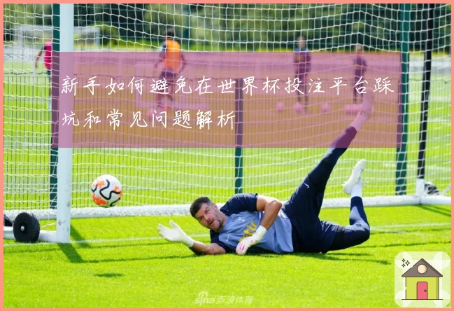新手如何避免在世界杯投注平台踩坑和常见问题解析