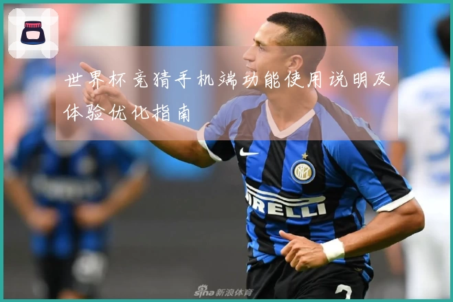 世界杯竞猜手机端功能使用说明及体验优化指南