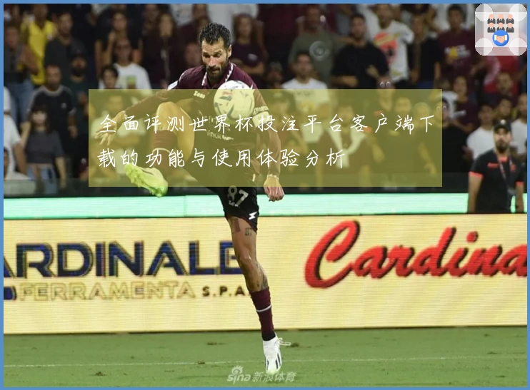 全面评测世界杯投注平台客户端下载的功能与使用体验分析
