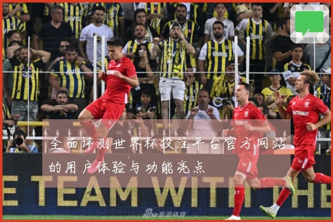 全面评测世界杯投注平台官方网站的用户体验与功能亮点