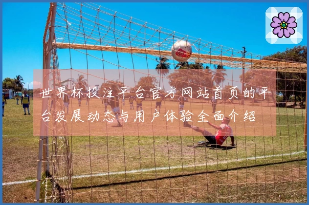 世界杯投注平台官方网站首页的平台发展动态与用户体验全面介绍